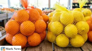 Reti arancioni con arance e reti gialle con limoni esposte su un banco di frutta al supermercato
